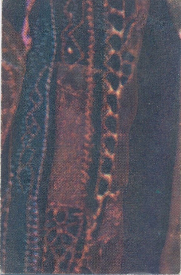 Svart 50b